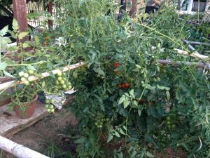 Φωτογραφία από το άλμπουμ του Elysion point Apartment σε Néa Seléfkeia