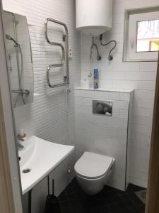 JabaraにあるReinholdi puhkemajaのバスルーム(トイレ、洗面台、シャワー付)