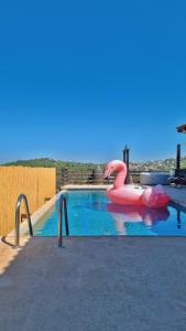 a swimming pool with a pink inflatablevisor in the water at Savannah suite in ‘Isfiyā