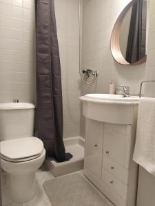 a bathroom with a toilet and a sink and a mirror at Bonito piso en el centro de Ourense in Ourense