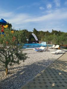 a resort with a pool and chairs and a tree at Camping Volme in Banjole