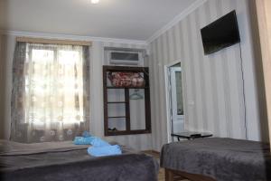 TV a/nebo společenská místnost v ubytování Guest house Maspindzeli