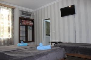 TV a/nebo společenská místnost v ubytování Guest house Maspindzeli
