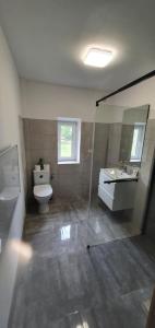 a bathroom with a shower and a toilet and a sink at Mazurska przystań in Dąbrówno +14 photos
