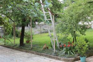 Zahrada ubytování Guest house Maspindzeli