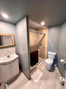 a bathroom with a shower and a toilet and a sink at HWY 17 Hotel in Wawa