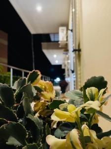 Fotografie z fotogalerie ubytování Orea Hotel v destinaci Himare
