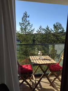 Priroda u blizini apartmana