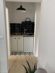 Kuchyň nebo kuchyňský kout v ubytování A cosy renovated one bedroom appartement with parking space and near the sea and the historical city center