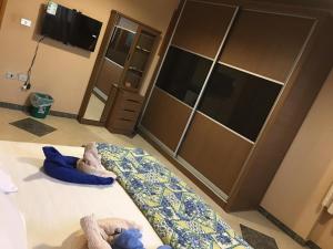 TV a/nebo společenská místnost v ubytování Dahab Home bed&breakfast