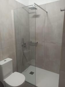 uma casa de banho com uma cabina de duche em vidro e um WC. em Simon Studios and Apartments em Sitia
