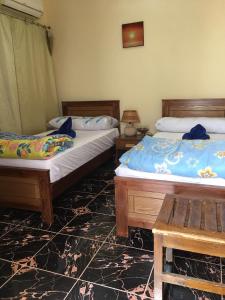a bedroom with two beds and a bench in it at Dahab Home bed&breakfast in Dahab