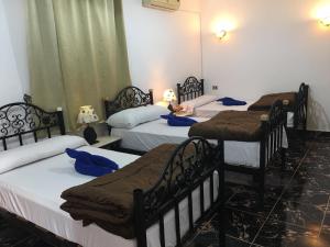 a group of four beds in a room at Dahab Home bed&breakfast in Dahab