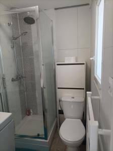 een badkamer met een toilet en een glazen douche bij Joli Studio tout équipé a votre disposition in Fleury-les-Aubrais