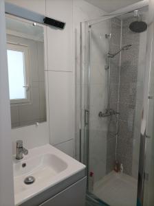 uma casa de banho com um lavatório e uma cabina de duche em vidro. em Joli Studio tout équipé a votre disposition em Fleury-les-Aubrais