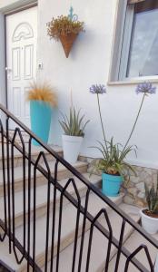 a group of potted plants sitting on a railing at A Due Passi dal Mare B&B in Scalea