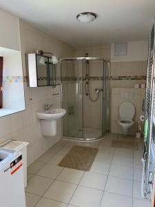 a bathroom with a shower and a sink and a toilet at Apartmán Hotel Vomočil Bystré in Bystré