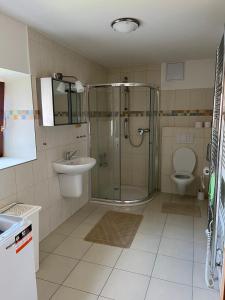 W łazience znajduje się prysznic, umywalka i toaleta. w obiekcie Apartmán Hotel Vomočil Bystré w mieście Bystré