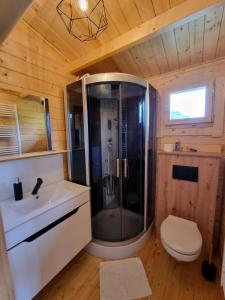 a bathroom with a shower and a toilet and a sink at Zacisze Śniardwy in Nowe Guty