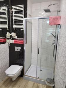 bagno con doccia e servizi igienici. di Apartamenty GALERIA PÓŁNOCNA a Varsavia