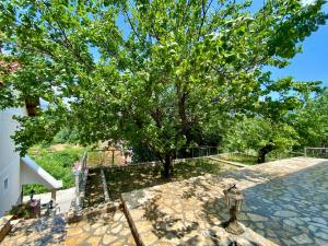 Naturlandskabet i nærheden af lejligheden