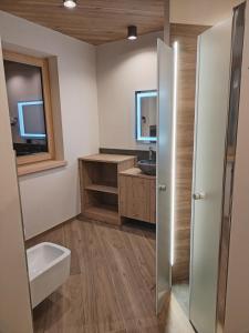 łazienka z umywalką i toaletą w obiekcie Chalet MAOL Luxury Living w mieście Valdidentro +37 zdjęć