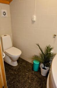 ヴラダルにあるHytte i Vrådalのバスルーム(トイレ、植物付)