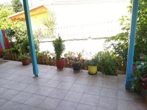 Zahrada ubytování Valta's Room
