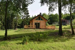 a small cabin in a field with trees at Ogród Shinrin Yoku (Haru) Odpoczynek w Lesie in Srokowo