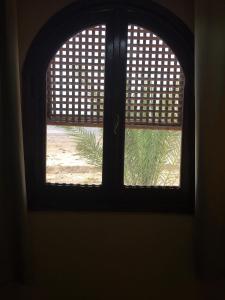 a window in a room looking out at a plant at Dahab Home bed&breakfast in Dahab