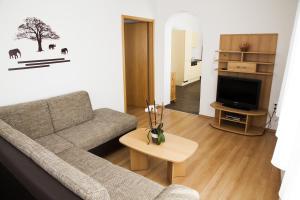 a living room with a couch and a tv at Apetlon`er Familie Böhm in Apetlon