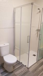a bathroom with a toilet and a glass shower at Apartamento Buenavista in Villamiel