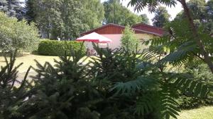 Vonkajšia záhrada v ubytovaní Privat No 13