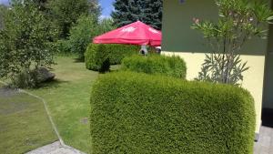 Vonkajšia záhrada v ubytovaní Privat No 13