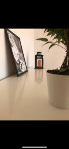 a plant sitting on a table next to a picture at Gran piso luminoso de 125 m2 en el centro de Leon in León