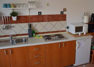 a small kitchen with a sink and a microwave at Apartments Burcul Pag in Pag