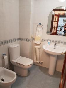 une salle de bains avec toilettes et lavabo dans l'établissement Apartamento Pintor, à Cambados