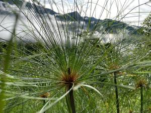 Galeriebild der Unterkunft Oro Verde Noche De Luna in Jardin + 1 Foto