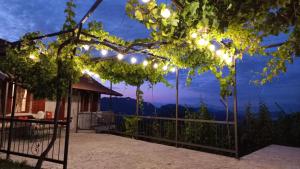 a patio with a view of the mountains at night at Banjo Rustic House Lake view in Virpazar
