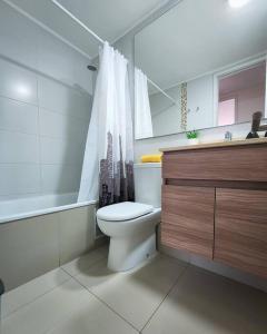a bathroom with a toilet and a shower and a sink at Departamento familiar en plan de Viña del Mar in Viña del Mar