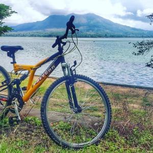 una bicicleta estacionada junto a un cuerpo de agua en Hotel Segara, en Kintamani