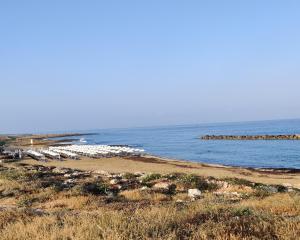 una spiaggia con un gruppo di imbarcazioni in acqua di Lovely 1-bedroom unit @ fabulous location a Paphos