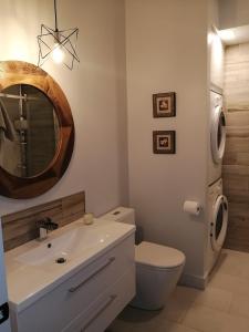 a bathroom with a sink and a toilet and a mirror at loft in the mountains, near Bromont in Shefford +9 photos