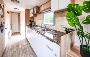 a kitchen with white cabinets and a sink and a plant at 2 Bedroom Nice Home In Heinkenszand in Heinkensand