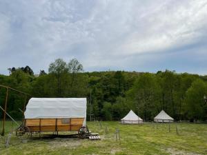a farm with two tents and a wagon in a field at Campingul Apusenilor in Şuncuiuş