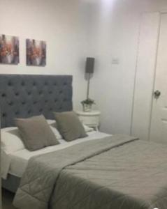 een slaapkamer met een groot bed met 2 kussens bij Hostal Mallorca Boutique in Cali
