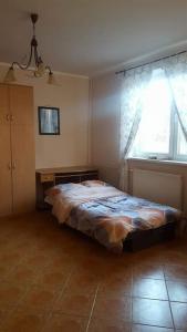 een slaapkamer met een bed en een raam bij Apartamenty Holiday Slaw jacuzzi bilard in Ustarbowo
