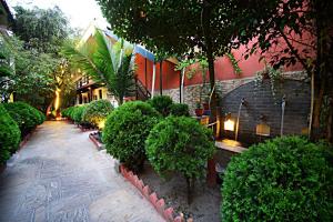 Zahrada ubytování Hotel Thamel Park