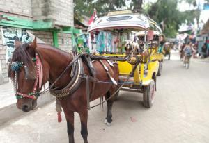 a horse pulling a yellow carriage on a city street at Gili Mesari Cottages & Homestay in Gili Trawangan