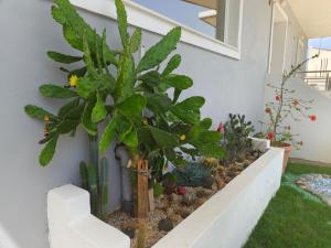 A garden outside Maria's modern studio 5min from beach